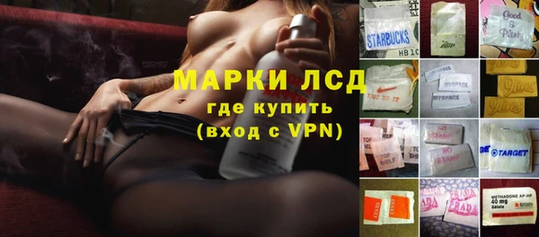 прущие грибы Вязьма