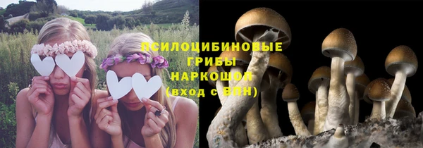 ПСИЛОЦИБИНОВЫЕ ГРИБЫ Верхний Тагил