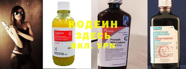 прущие грибы Вязьма