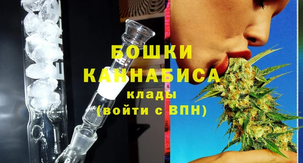 прущие грибы Вязьма