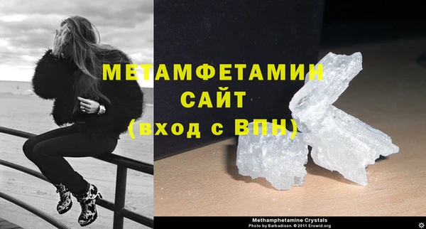 прущие грибы Вязьма