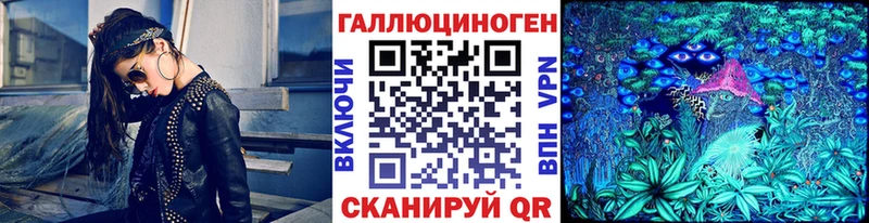 Псилоцибиновые грибы Psilocybine cubensis  Долинск 